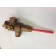Reliance High Pressure and Temperature Relief Valve with 1/2" Extension 15mm 850kPa with Integrated Oulet - HTT516